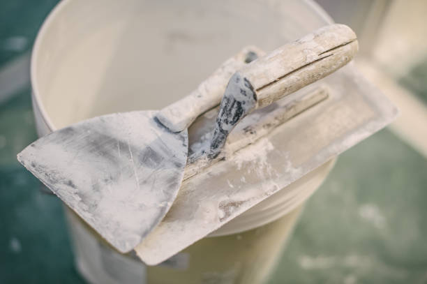 Best Dehumidification Services  in Hawkinsville, GA